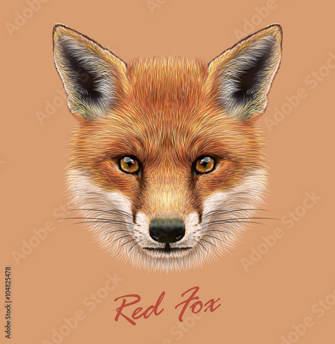 Fox animal face. Vector cute red head. Realistic winter fur red wild fox portrait on orange background.