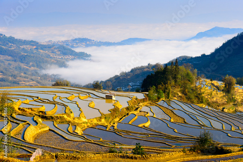 Rice Terraced field in water season in YuanYang, China