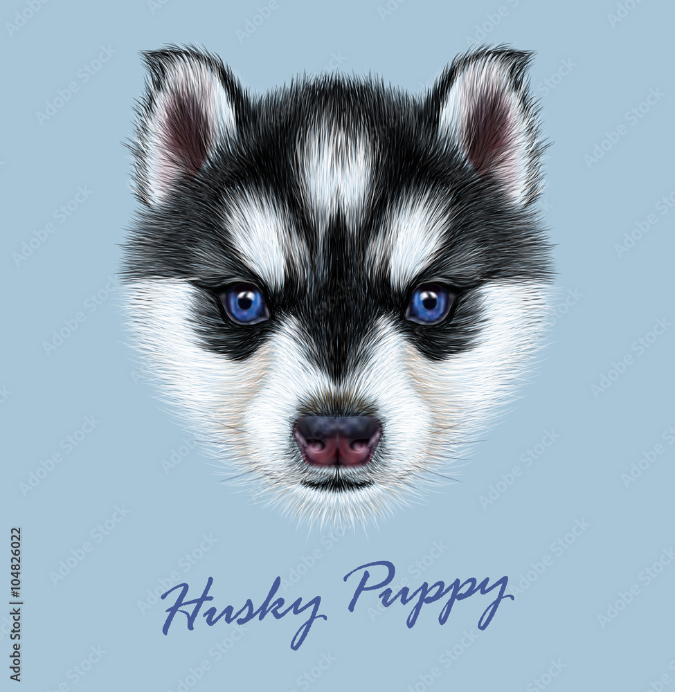 Vector Illustrative Portrait of a Husky Puppy