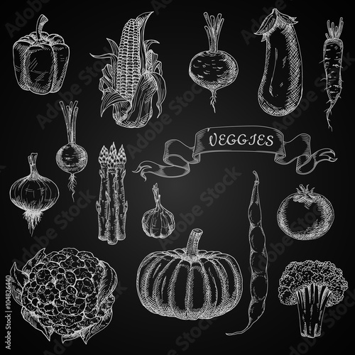 Vegetables engraving chalk sketches set