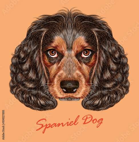 Vector Illustrative Portrait of Spaniel Dog.