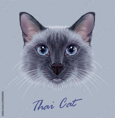 Siamese cat animal cute face. Vector funny happy cat head portrait. Realistic fur portrait of thai blue point kitten isolated on grey background. © ant_art19
