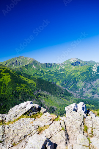 Inspiring Mountains Landscape View, sunny day in summer Tatras © blas