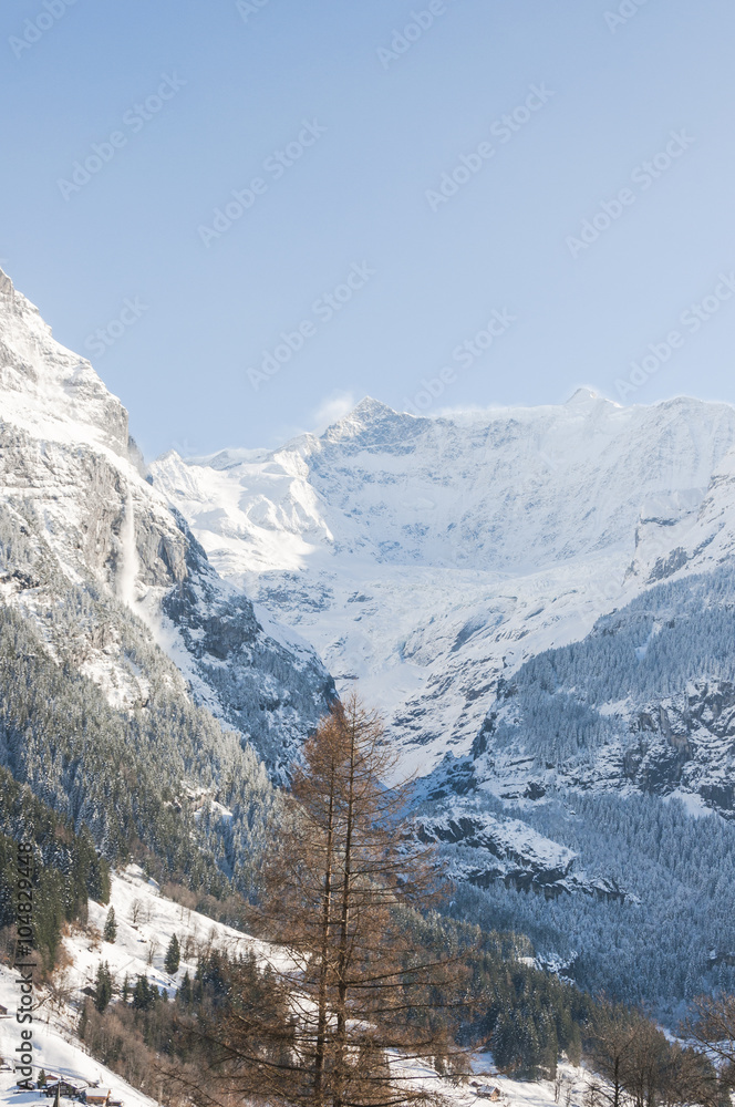 Grindelwald, Dorf, Bergdorf, Alpen, Schweizer Berge, Grindelwaldgletscher, Gletscherschlucht, Fieschhörner, Schreckhorn, Eiger, Berner Oberland, Winter, Schweiz