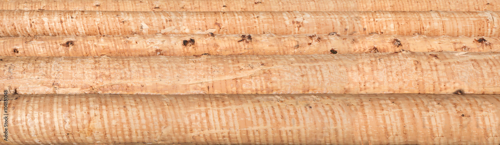 Fototapeta premium Panorama von geschälten horizontalen Baumstämmen