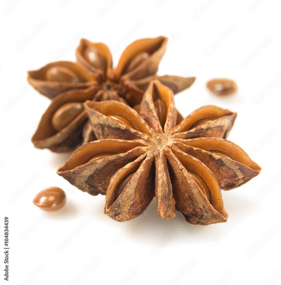 anise star on white background anise star on white background