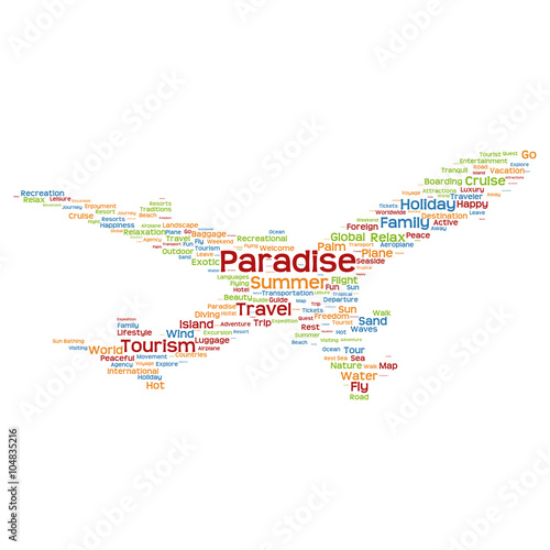 Vector conceptual travel or tourism plane word cloud