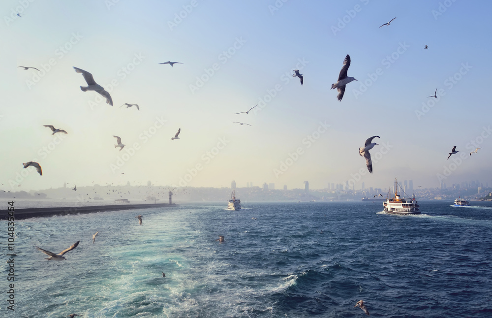 Sea view with seagulls and ships in Istanbul in Turkey Sea view with seagulls and ships in Istanbul in Turkey