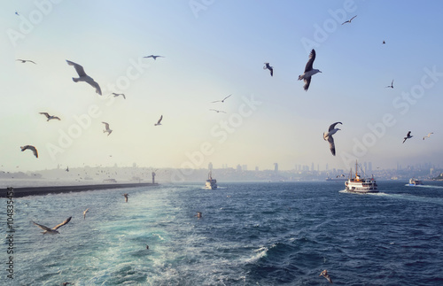 Sea view with seagulls and ships in Istanbul in Turkey © natalia_maroz