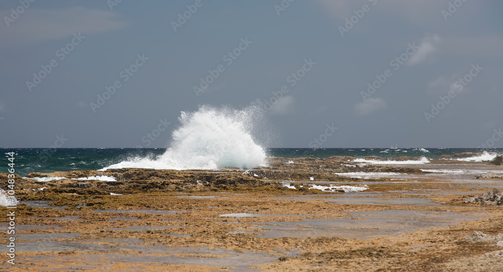 Bonaire island Atlantic ocean wild side beach Bonaire island Atlantic ocean wild side beach
