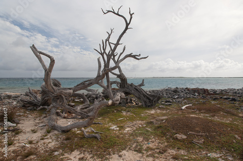 Bonaire island Atlantic ocean wild side beach © Valerijs Novickis