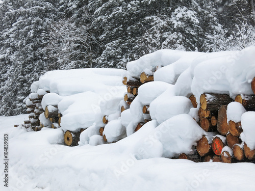 Wallpaper Mural Snow in the woods
Felled trunks under a thick layer of snow Torontodigital.ca