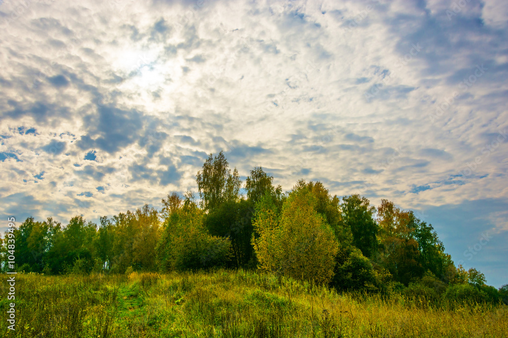 Beautiful autumn landscape backlit.