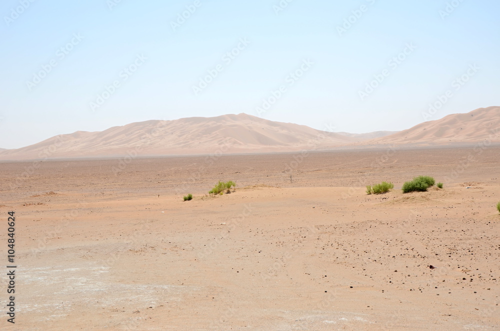 Green bushes and sand dunes