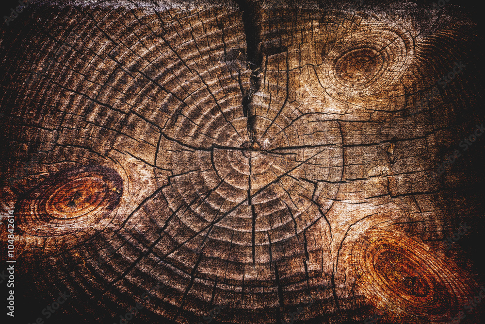 Fototapeta premium Abstract grunge background