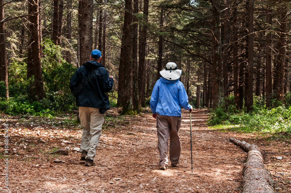 Fototapeta premium Couple se promener en forêt