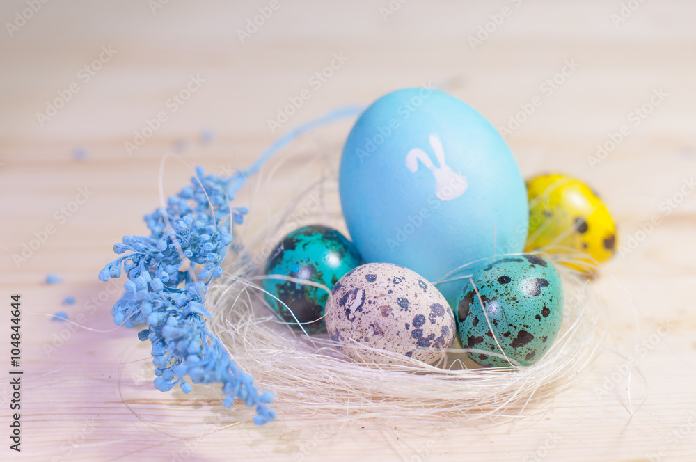 Fototapeta premium Easter eggs in nest. Bunny silhouette on a egg