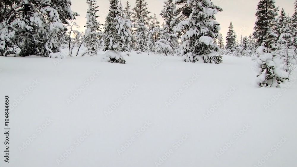 View to the trees covered with snow in winter in Saariselka, Finland. View to the trees covered with snow in winter in Saariselka, Finland.