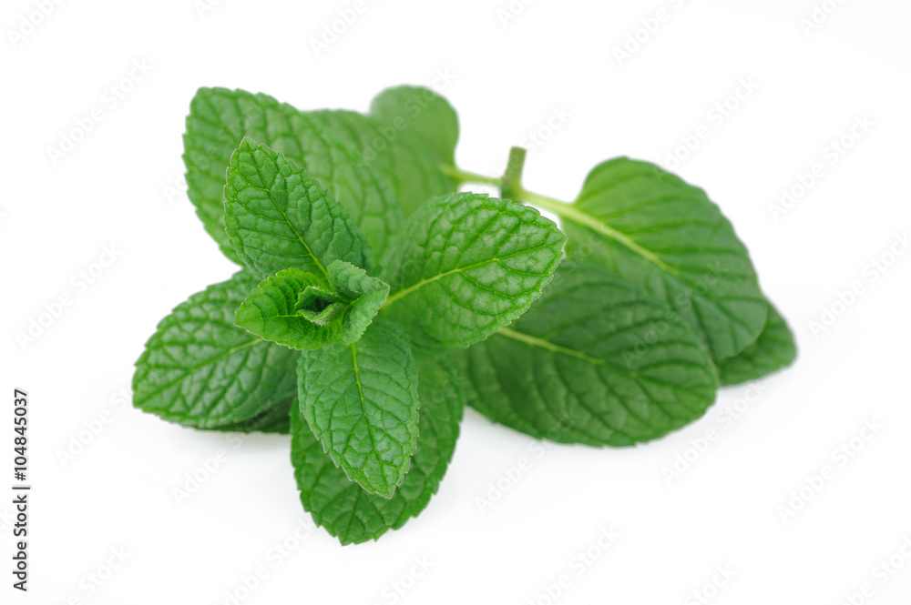 Mint Mint