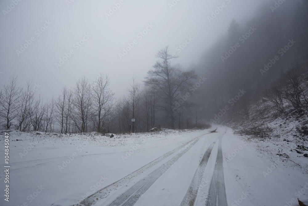 Fototapeta premium Foggy road in the forest