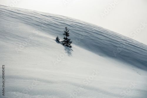 Einsamer Baum im Schnee