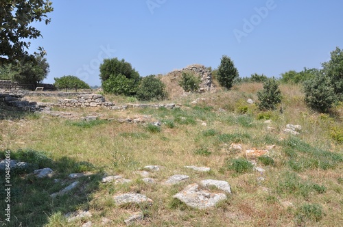 Ruins of Troy photo