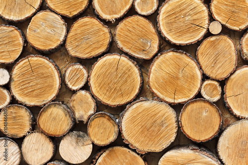 Background of wooden logs sawn across