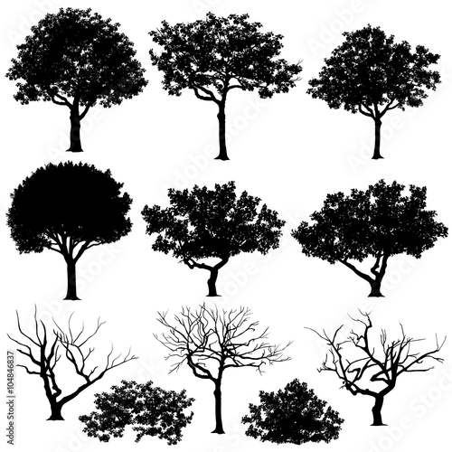 Set of trees in silhouettes. Also in vector format. Create many more shapes of trees from leaves and trees bottom row.