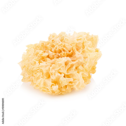 Chinese food tremella fuciformis white fungus isolated