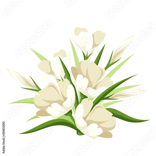 Vector bouquet of white flowers and green leaves isolated on white.
