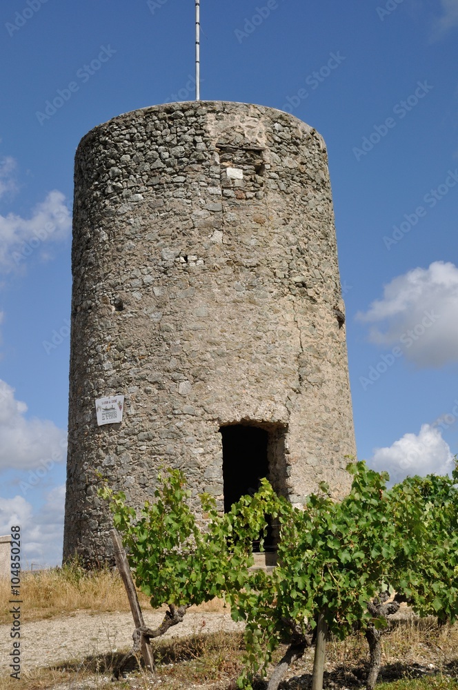Naklejka premium watch tower