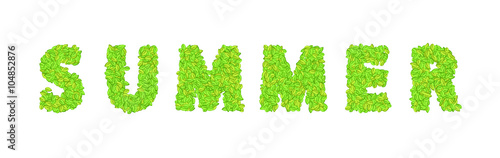 vector word summer with leaves on a white