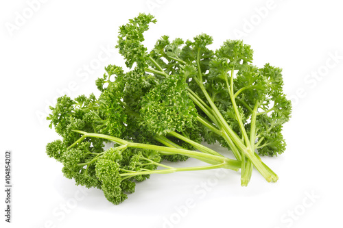 parsley isolated on a white background