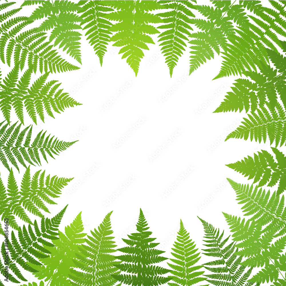 Jungle poster. Fern frond background. Vector illustration