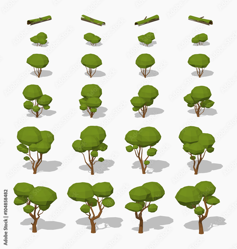 Fototapeta premium Low poly green trees. 3D lowpoly isometric vector illustration. The set of objects isolated against the white background and shown from different sides