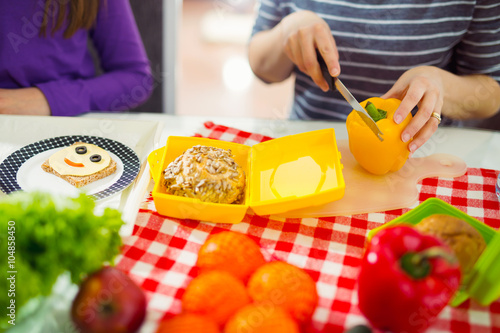 Mother preparing healthy and tasty lunch box for child