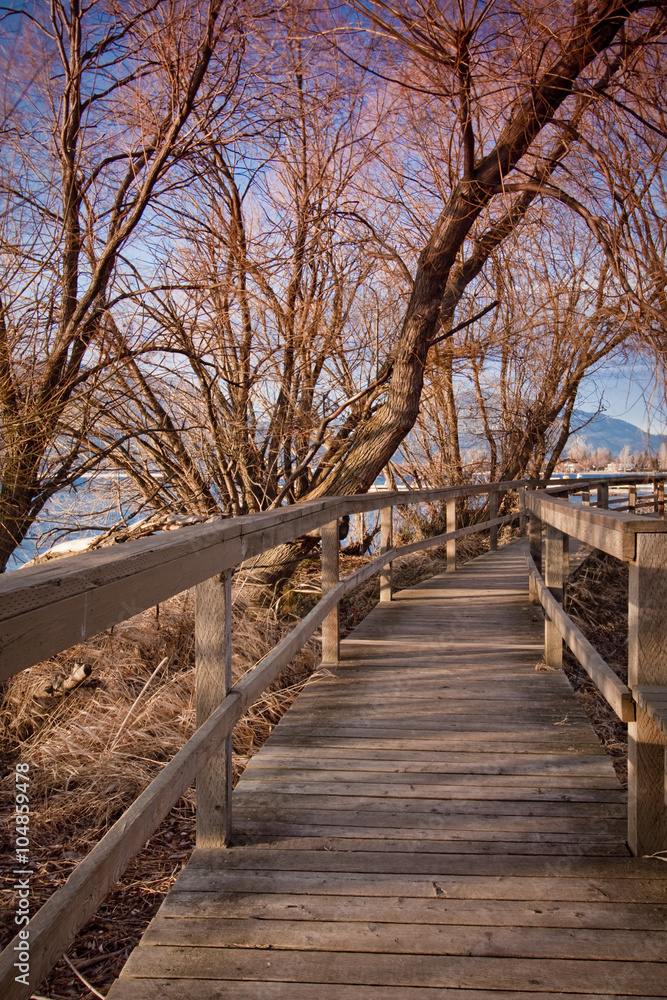 wooden boardwalk in the park wooden boardwalk in the park