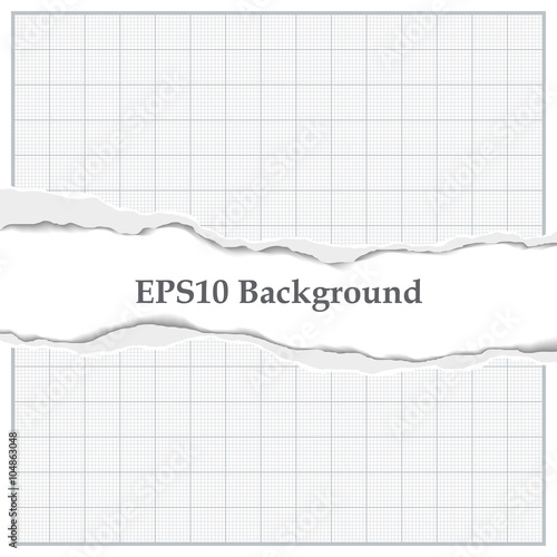 Graph Paper With Torn Mid