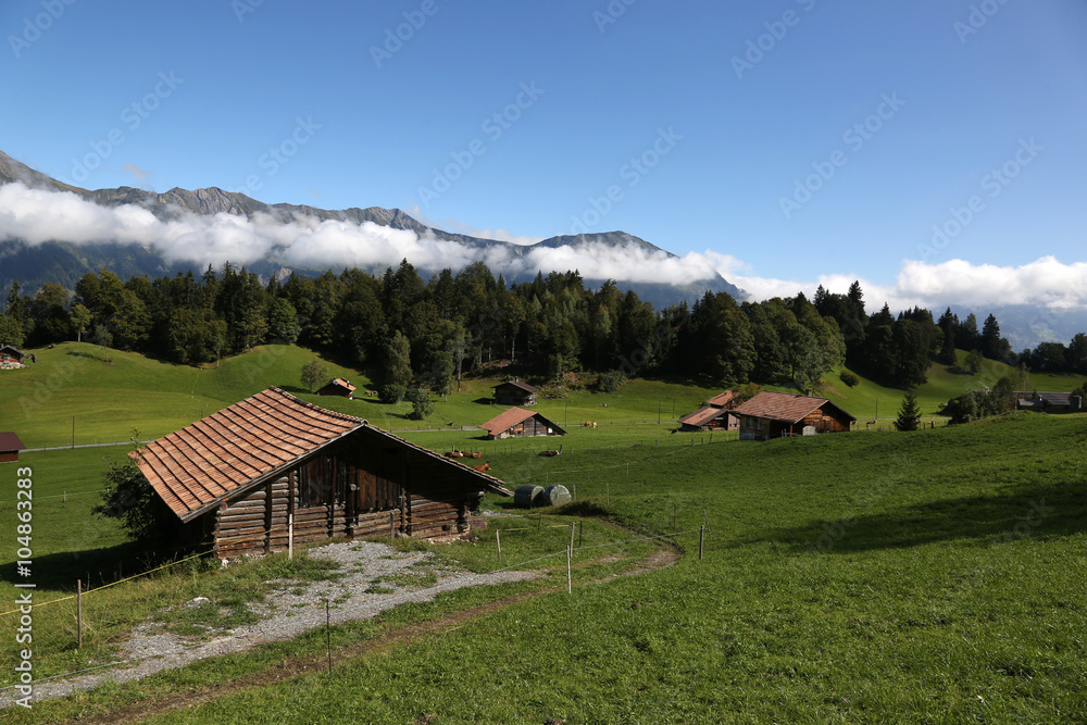 Stable in the alps in the Bernese Oberland, Switzerland