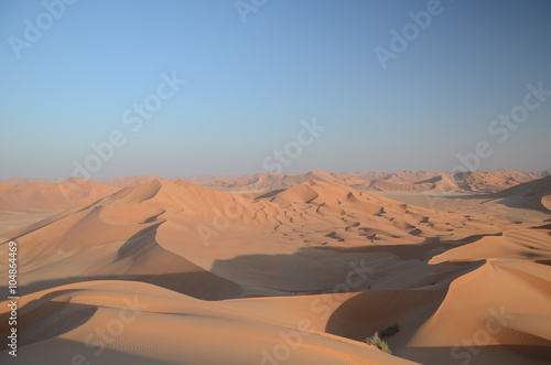 Sand dune panorama