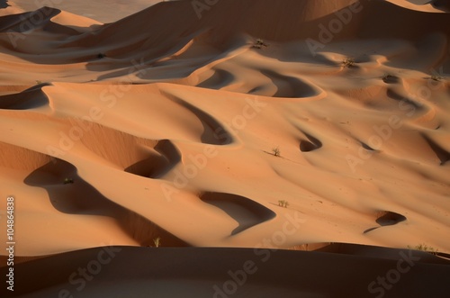 Sand dunes, Sahara