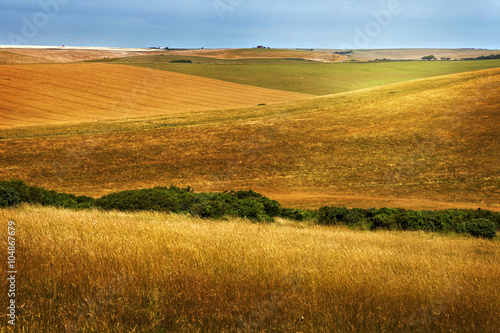 beautiful golden fields and hills in autumn
