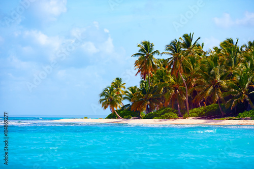 Fototapeta Naklejka Na Ścianę i Meble -  beautiful tropical coast of caribbean, Saona Island, Dominican Republic