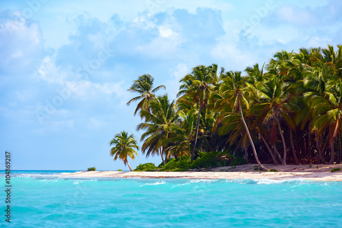 Fototapeta Naklejka Na Ścianę i Meble -  beautiful tropical coast of caribbean, Saona Island, Dominican Republic