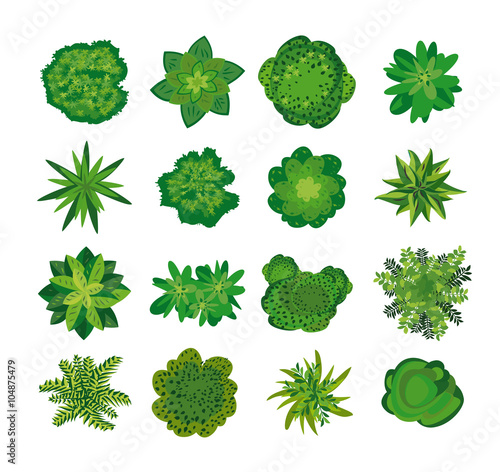Trees - top view. Easy to use in your landscape design projects.