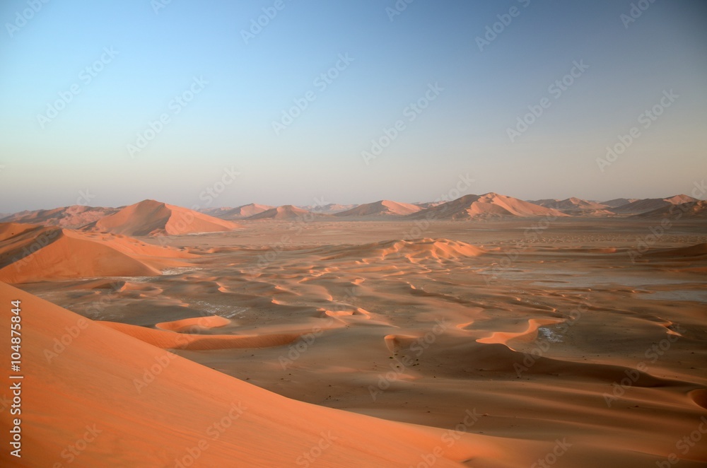 Fototapeta premium Desert panorama