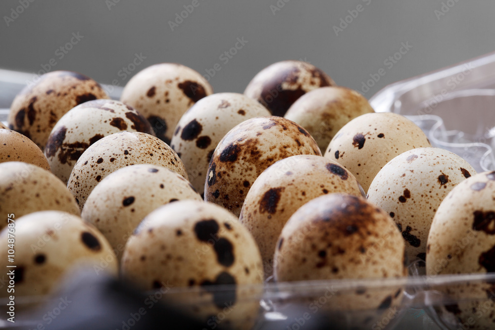 raw quail eggs closeup in plastic packaging raw quail eggs closeup in plastic packaging