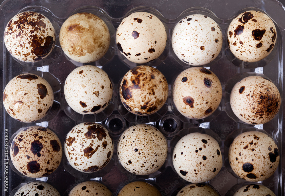 raw quail eggs closeup in plastic packaging raw quail eggs closeup in plastic packaging