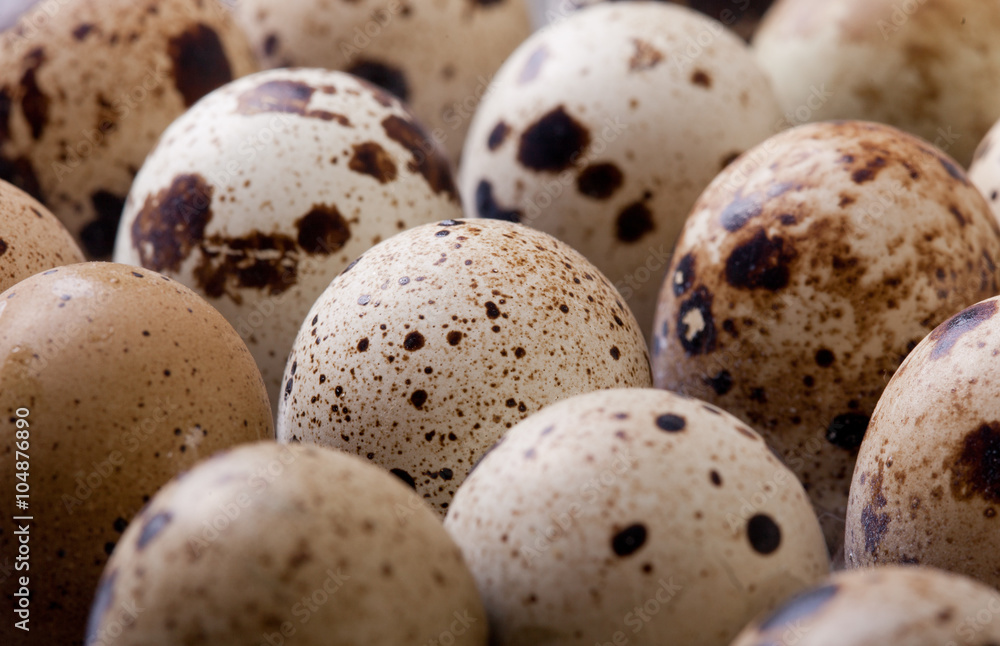 raw quail eggs closeup in plastic packaging raw quail eggs closeup in plastic packaging