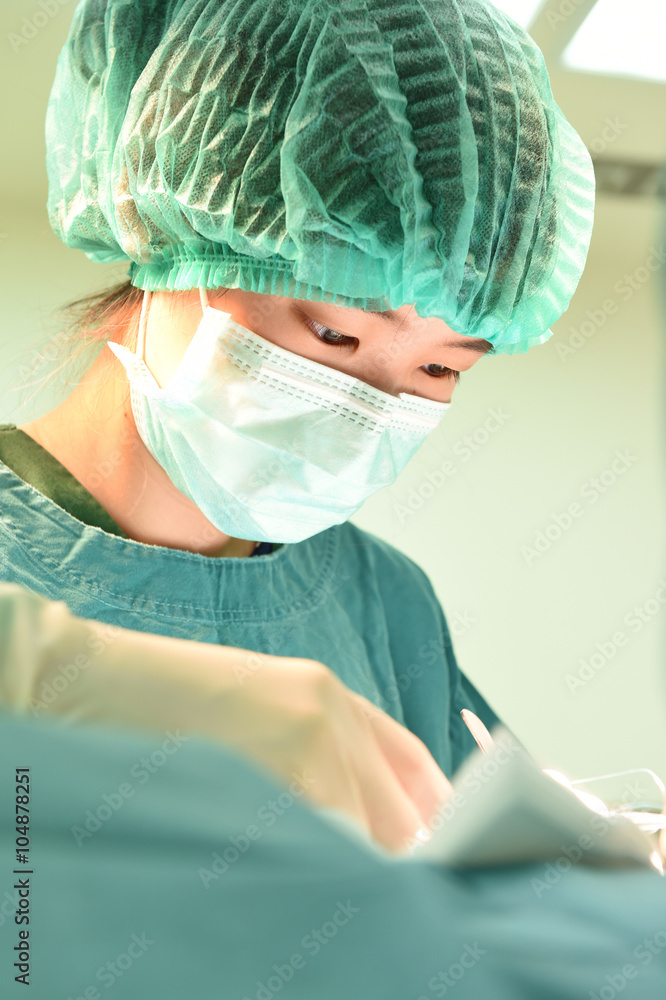 Fototapeta premium veterinarian surgery in operation room